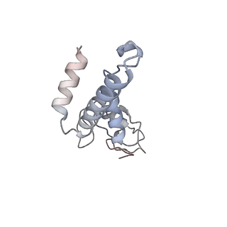 14927_7zs9_3_v1-2
Yeast RNA polymerase II transcription pre-initiation complex with the +1 nucleosome (complex A)
