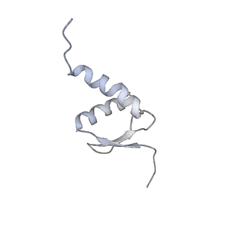 14927_7zs9_5_v1-2
Yeast RNA polymerase II transcription pre-initiation complex with the +1 nucleosome (complex A)