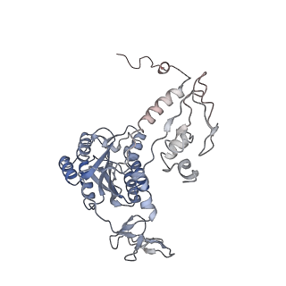 14927_7zs9_6_v1-2
Yeast RNA polymerase II transcription pre-initiation complex with the +1 nucleosome (complex A)