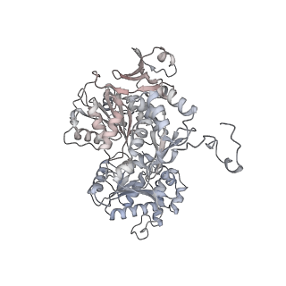 14927_7zs9_7_v1-2
Yeast RNA polymerase II transcription pre-initiation complex with the +1 nucleosome (complex A)
