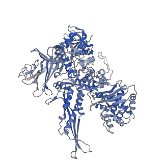 14927_7zs9_B_v1-2
Yeast RNA polymerase II transcription pre-initiation complex with the +1 nucleosome (complex A)
