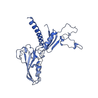 14927_7zs9_C_v1-2
Yeast RNA polymerase II transcription pre-initiation complex with the +1 nucleosome (complex A)