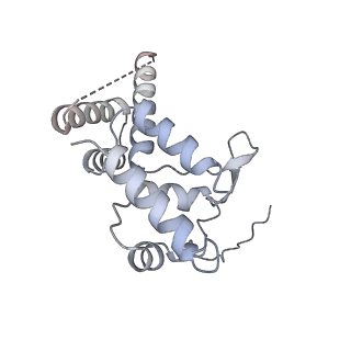 14927_7zs9_D_v1-2
Yeast RNA polymerase II transcription pre-initiation complex with the +1 nucleosome (complex A)