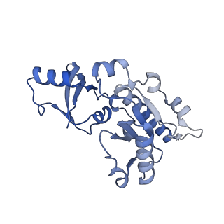 14927_7zs9_E_v1-2
Yeast RNA polymerase II transcription pre-initiation complex with the +1 nucleosome (complex A)