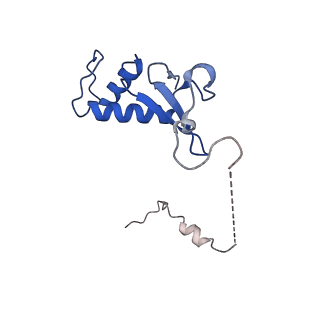 14927_7zs9_F_v1-2
Yeast RNA polymerase II transcription pre-initiation complex with the +1 nucleosome (complex A)
