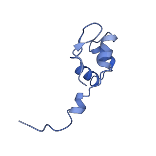 14927_7zs9_J_v1-2
Yeast RNA polymerase II transcription pre-initiation complex with the +1 nucleosome (complex A)