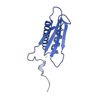 14927_7zs9_K_v1-2
Yeast RNA polymerase II transcription pre-initiation complex with the +1 nucleosome (complex A)