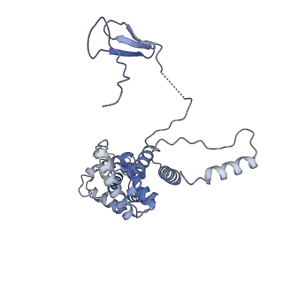 14927_7zs9_M_v1-2
Yeast RNA polymerase II transcription pre-initiation complex with the +1 nucleosome (complex A)