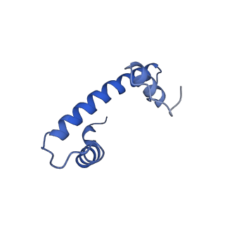 14927_7zs9_b_v1-2
Yeast RNA polymerase II transcription pre-initiation complex with the +1 nucleosome (complex A)