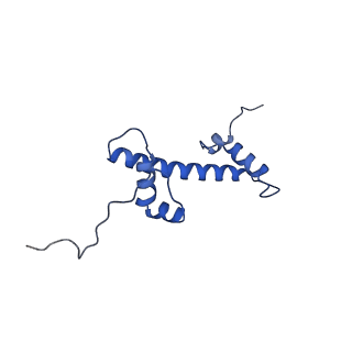14927_7zs9_c_v1-2
Yeast RNA polymerase II transcription pre-initiation complex with the +1 nucleosome (complex A)