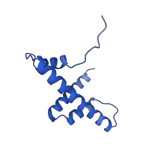 14927_7zs9_d_v1-2
Yeast RNA polymerase II transcription pre-initiation complex with the +1 nucleosome (complex A)