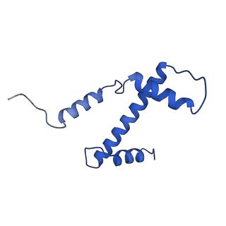 14927_7zs9_e_v1-2
Yeast RNA polymerase II transcription pre-initiation complex with the +1 nucleosome (complex A)