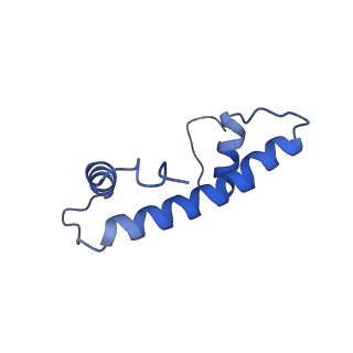 14927_7zs9_f_v1-2
Yeast RNA polymerase II transcription pre-initiation complex with the +1 nucleosome (complex A)