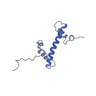 14927_7zs9_g_v1-2
Yeast RNA polymerase II transcription pre-initiation complex with the +1 nucleosome (complex A)