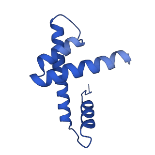 14927_7zs9_h_v1-2
Yeast RNA polymerase II transcription pre-initiation complex with the +1 nucleosome (complex A)