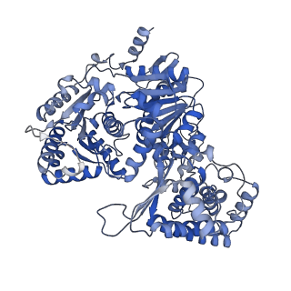 14928_7zsa_0_v1-2
Yeast RNA polymerase II transcription pre-initiation complex with the +1 nucleosome and NTP (complex B)