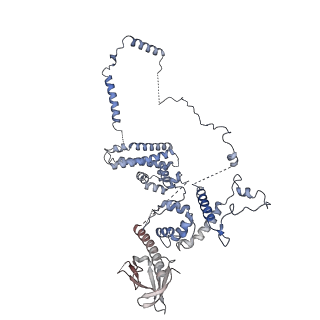 14928_7zsa_1_v1-2
Yeast RNA polymerase II transcription pre-initiation complex with the +1 nucleosome and NTP (complex B)