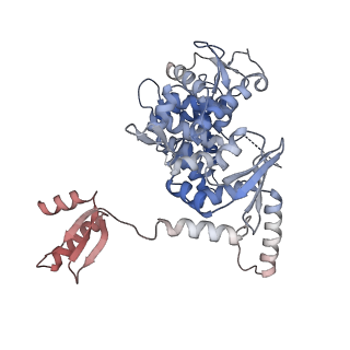 14928_7zsa_2_v1-2
Yeast RNA polymerase II transcription pre-initiation complex with the +1 nucleosome and NTP (complex B)