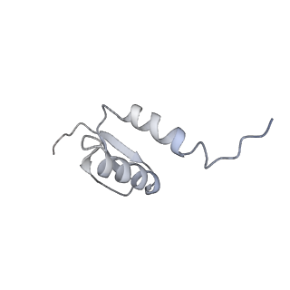 14928_7zsa_5_v1-2
Yeast RNA polymerase II transcription pre-initiation complex with the +1 nucleosome and NTP (complex B)