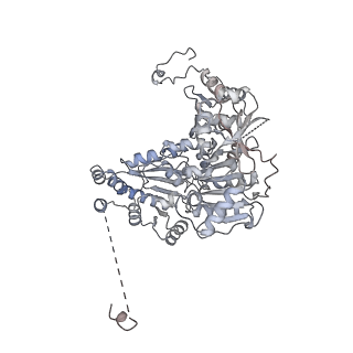 14928_7zsa_7_v1-2
Yeast RNA polymerase II transcription pre-initiation complex with the +1 nucleosome and NTP (complex B)