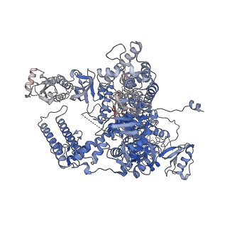 14928_7zsa_A_v1-2
Yeast RNA polymerase II transcription pre-initiation complex with the +1 nucleosome and NTP (complex B)