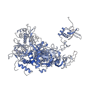 14928_7zsa_B_v1-2
Yeast RNA polymerase II transcription pre-initiation complex with the +1 nucleosome and NTP (complex B)