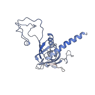 14928_7zsa_C_v1-2
Yeast RNA polymerase II transcription pre-initiation complex with the +1 nucleosome and NTP (complex B)