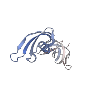 14928_7zsa_G_v1-2
Yeast RNA polymerase II transcription pre-initiation complex with the +1 nucleosome and NTP (complex B)