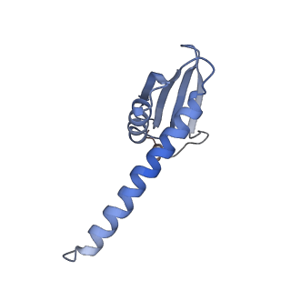 14928_7zsa_K_v1-2
Yeast RNA polymerase II transcription pre-initiation complex with the +1 nucleosome and NTP (complex B)