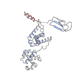 14928_7zsa_M_v1-2
Yeast RNA polymerase II transcription pre-initiation complex with the +1 nucleosome and NTP (complex B)