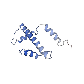 14928_7zsa_a_v1-2
Yeast RNA polymerase II transcription pre-initiation complex with the +1 nucleosome and NTP (complex B)