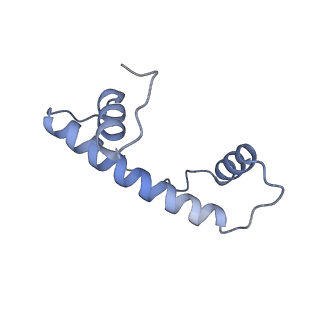14928_7zsa_b_v1-2
Yeast RNA polymerase II transcription pre-initiation complex with the +1 nucleosome and NTP (complex B)