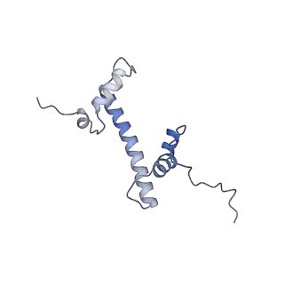 14928_7zsa_c_v1-2
Yeast RNA polymerase II transcription pre-initiation complex with the +1 nucleosome and NTP (complex B)