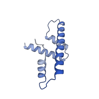 14928_7zsa_d_v1-2
Yeast RNA polymerase II transcription pre-initiation complex with the +1 nucleosome and NTP (complex B)