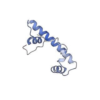14928_7zsa_f_v1-2
Yeast RNA polymerase II transcription pre-initiation complex with the +1 nucleosome and NTP (complex B)