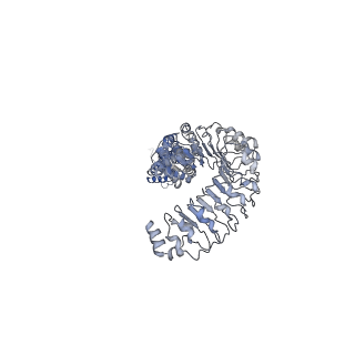 6952_5zsu_A_v1-3
Structure of the human homo-hexameric LRRC8A channel at 4.25 Angstroms
