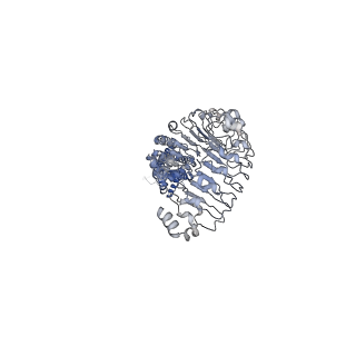 6952_5zsu_B_v1-3
Structure of the human homo-hexameric LRRC8A channel at 4.25 Angstroms