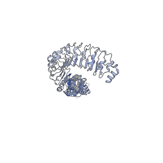 6952_5zsu_C_v1-3
Structure of the human homo-hexameric LRRC8A channel at 4.25 Angstroms