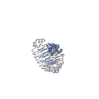 6952_5zsu_F_v1-3
Structure of the human homo-hexameric LRRC8A channel at 4.25 Angstroms