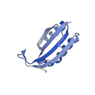 11418_6ztj_AF_v1-1
E. coli 70S-RNAP expressome complex in NusG-coupled state (38 nt intervening mRNA)