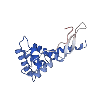11418_6ztj_AG_v1-1
E. coli 70S-RNAP expressome complex in NusG-coupled state (38 nt intervening mRNA)