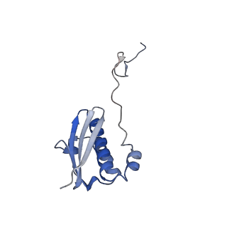11418_6ztj_AI_v1-1
E. coli 70S-RNAP expressome complex in NusG-coupled state (38 nt intervening mRNA)