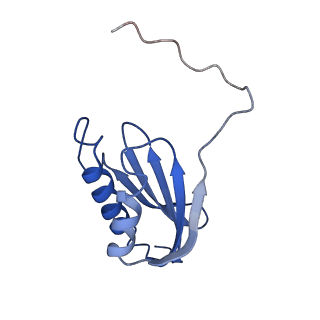 11418_6ztj_AK_v1-1
E. coli 70S-RNAP expressome complex in NusG-coupled state (38 nt intervening mRNA)