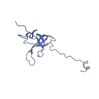 11418_6ztj_AL_v1-1
E. coli 70S-RNAP expressome complex in NusG-coupled state (38 nt intervening mRNA)
