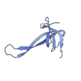 11418_6ztj_AQ_v1-1
E. coli 70S-RNAP expressome complex in NusG-coupled state (38 nt intervening mRNA)