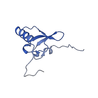11418_6ztj_AS_v1-1
E. coli 70S-RNAP expressome complex in NusG-coupled state (38 nt intervening mRNA)