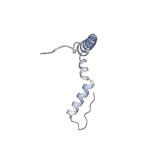 11418_6ztj_AU_v1-1
E. coli 70S-RNAP expressome complex in NusG-coupled state (38 nt intervening mRNA)