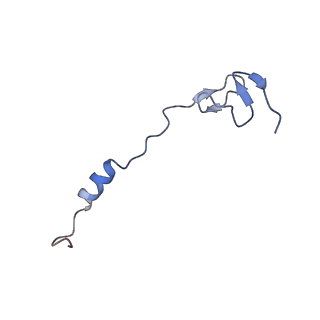 11418_6ztj_B2_v1-1
E. coli 70S-RNAP expressome complex in NusG-coupled state (38 nt intervening mRNA)