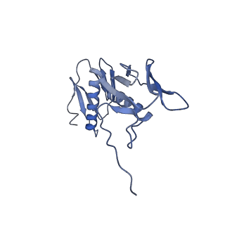 11418_6ztj_BG_v1-1
E. coli 70S-RNAP expressome complex in NusG-coupled state (38 nt intervening mRNA)
