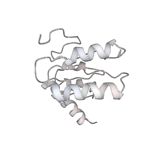11418_6ztj_BI_v1-1
E. coli 70S-RNAP expressome complex in NusG-coupled state (38 nt intervening mRNA)